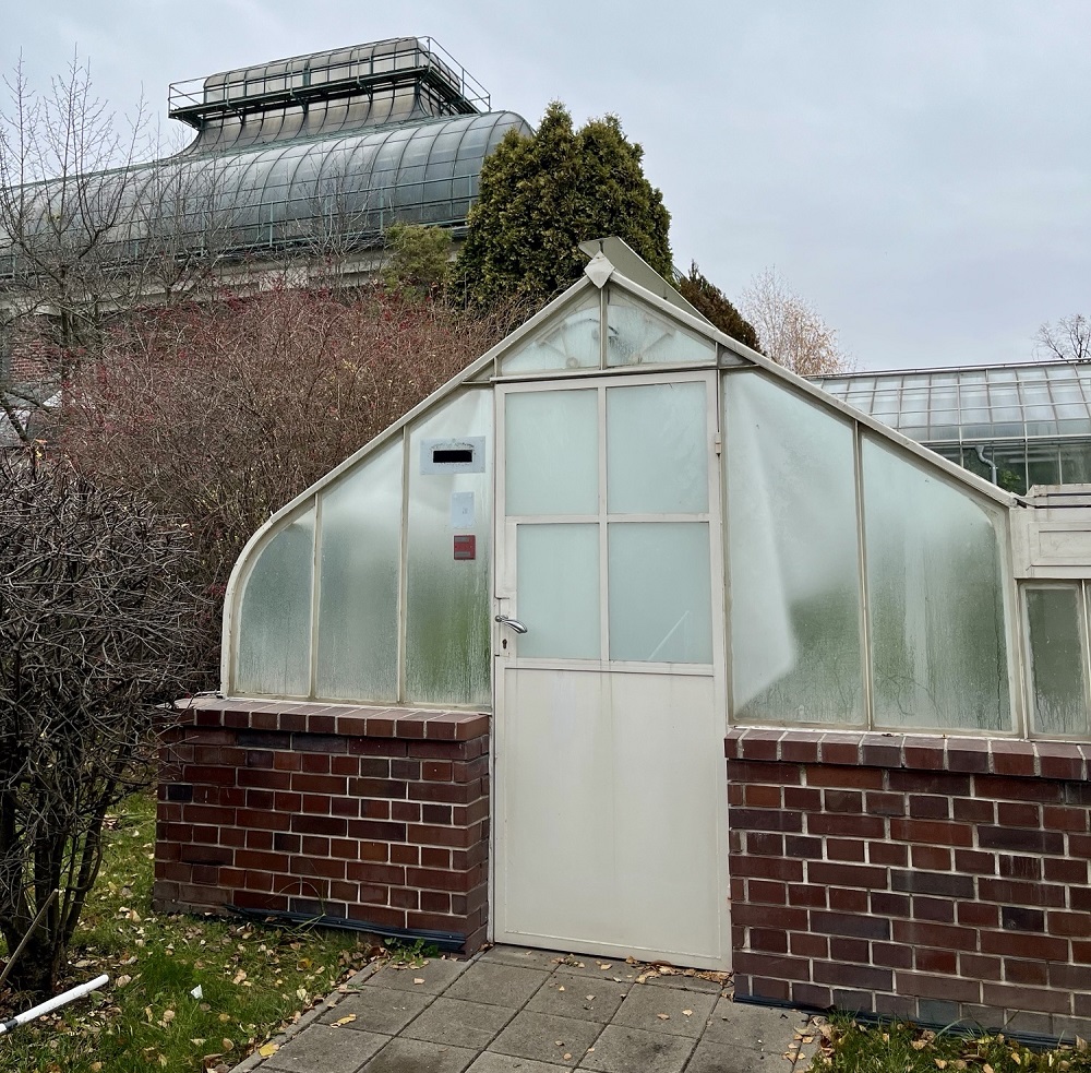 Palmiarnia w Wałbrzychu