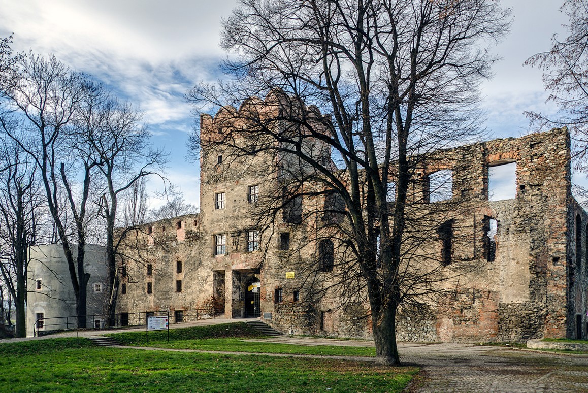 Zamek, Ząbkowice Śląskie